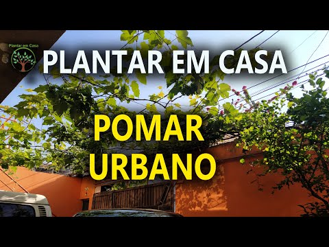 Imagem de Amostra do You Tube