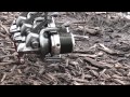 Carp Fishing with Mistral Baits