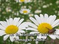 Száma nincsen Uram,... Száma nincsen Uram,...