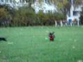 videos de Alfred und Luni Part 4