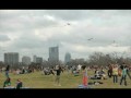 Zilker Park Kite Festival: Austin, Texas 2008