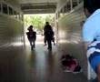 caballazos unitec zapopan