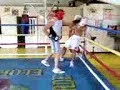 Amiel Knockdown Fight Amiel Knockdown Fight