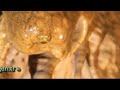 KARACA MA?ARASI (KARACA CAVE) KARACA MA?ARASI (KARACA CAVE)