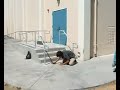 Skate