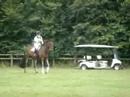 Blenheim International Horse Trials 2007