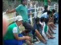 FOTOS CAMPAMENTO 2009
