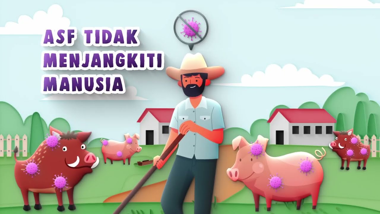 PENYAKIT DEMAM BABI AFRIKA (AFRICAN SWINE FEVER) (TV BURST AD)