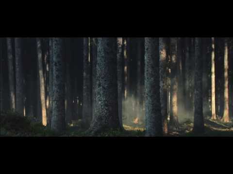 Kopparberg reveals TV advert for Forest Happenings summer campaign video