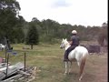 Cowboys Trip