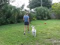Roxtricks