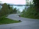 Vilhelmina skater drunks