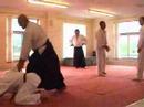 white horse budo aikido