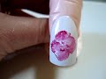 Unhas Decoradas Passo a Passo nº 21 Unhas Decoradas Passo a Passo nº 21