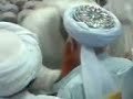 Naqshibandi Shaykh