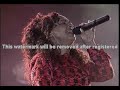 Sempre fiel - Rose Nascimento