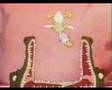 Banned Cartoon - Commando Duck