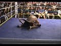 Mike Cardoso (Team EXTREME) VS Marcos Avellan
