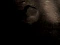 catacomba
