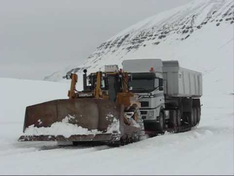 cat 12