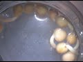 Seed Seed