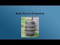 Rain Barrel Irrigation