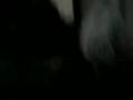 videos de Eder-Davison acordando o Abilio