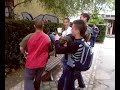 Celic u grmlju.mp4