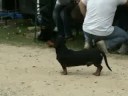 TS-LKD s?skrydis 2008 m. rugpj??io 22-24 d. TS-LKD s?skrydis 2008 m. rugpj??io 22-24 d.