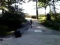 Dalton Huffman Crist air late pop shov it