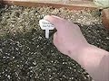 Alaska Gardening - Greenhouse