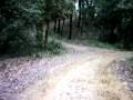 Dunax 400 ruta per bosc 1