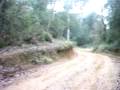 Dunax 400 ruta per bosc 1