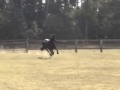 In Memory of Ock (2004-2007)