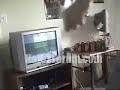 Pissed-of-Gamer-Part