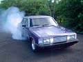 Opala Diplomata no Burnout