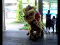 jian rong n nigel lion dance at ntuc jian rong n nigel lion dance at ntuc