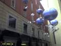 videos de Is it a bird.....?
