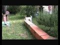 GIOCHI CON LA TAN...