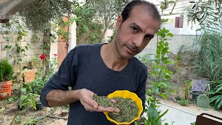  | موسوعة التراث الفلسطيني