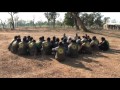 Intrepid - On the Frontlines of Tiger Conservation