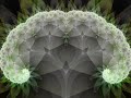 Fractal Ecosystems