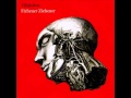 Villalobos - Fizheuer Zieheuer