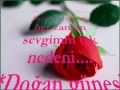 baykal'dan biricik aşkina unutmam seni