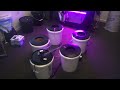 Hydroponic 4 Buckets with Reservoir