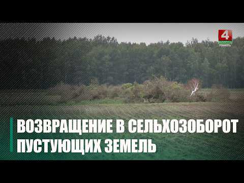 Около 6 тысяч гектаров земель вернули в оборот на Гомельщине за первый квартал 2026 года видео