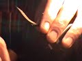 Red Eztaz Nymph Red Eztaz Nymph