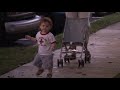 A Short Walk with Grandma