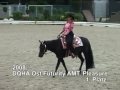 Diamond Chip Fancy    Western Pleasure