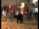 Eva og knerten freestyleprogram